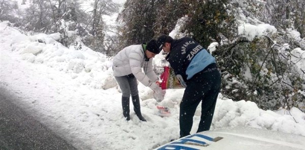 KARA KIŞTA SOKAK HAYVANLARINI AÇ BIRAKMADILAR