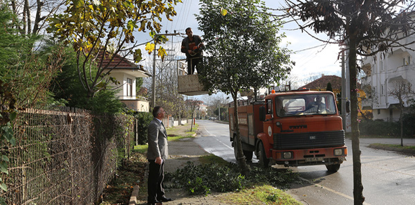 İPEKYOLU CADDESİ’NE ÇEVRE BAKIMI