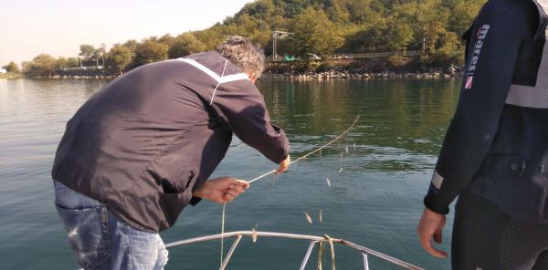 50 ADET KASNAK AĞI VE BİN METRE AĞ YAKALANDI