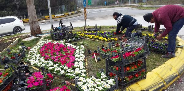 SAPANCA'DA ÇİÇEKLENDİRME ÇALIŞMALARI