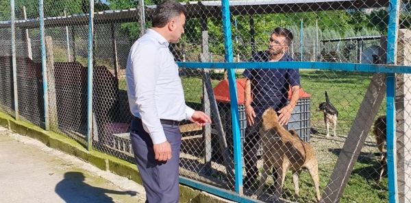 BAŞKAN ÖZEN, HAYVAN BARINAĞINI ZİYARET ETTİ