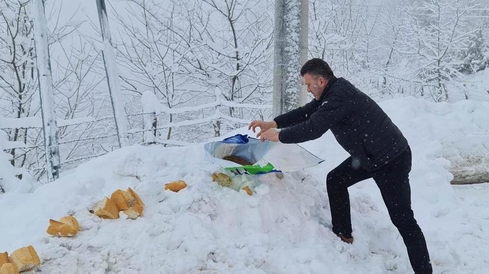 BAŞKAN ÖZEN SOKAK HAYVANLARINI UNUTMADI