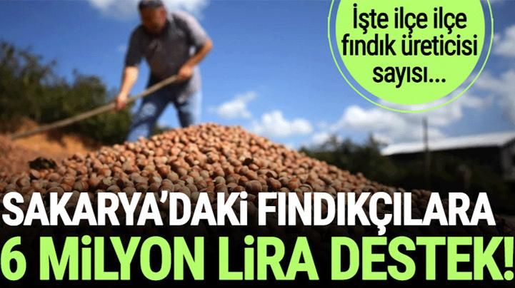 SAPANCA'DAKİ FINDIK ÜRETİCİSİ NE KADAR DESTEK ALACAK?