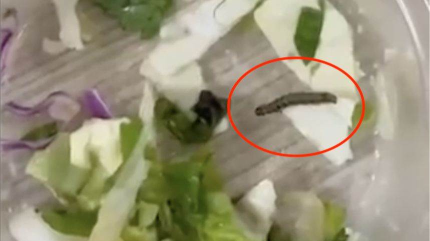 CHP SAPANCA'DAN KYK KIZ ÖĞRENCİ YURDU HAKKINDA AÇIKLAMA