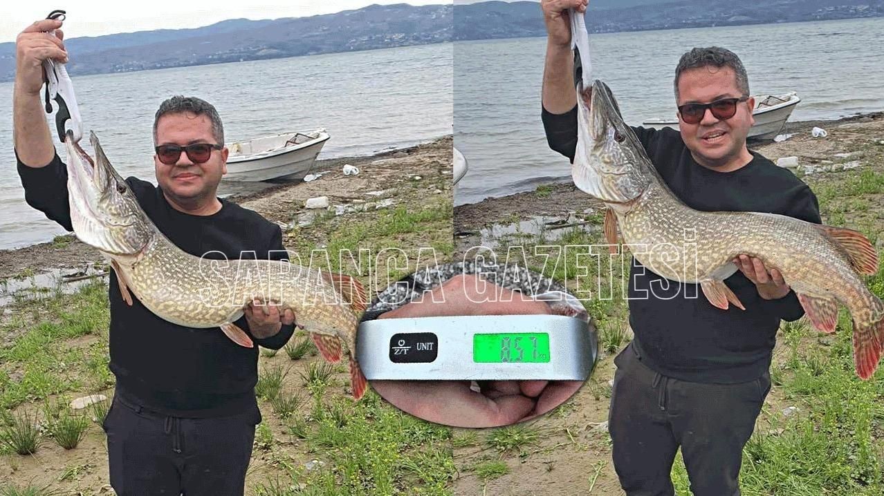 SAPANCA GÖLÜ'NDE TURNA SEZONU BEREKETLİ BAŞLADI!